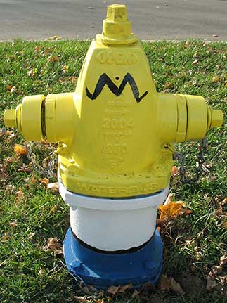 Homer Simpson - Madison and Cornell (2)